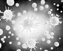 ��ʿ�_�l(f��)���ܿ��Ɔ΂����ӵġ��{���y�T��