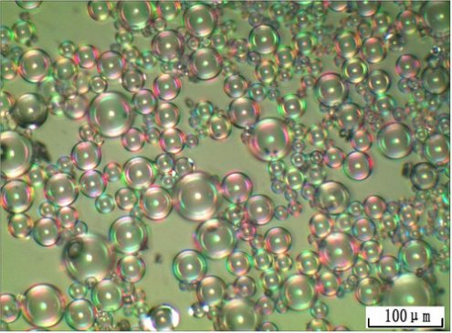 �׷N����΢��Ľ�B������I(y��)���Σ�