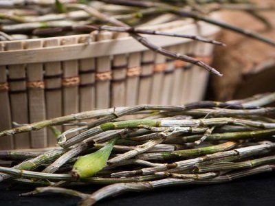 ˎ�ĺ���ˎ�źã�����ɫ�x�C(j��)���ˎ�ġ��|(zh��)���T��