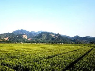 �����Ҏ(gu��)�������V�a(ch��n)�YԴ�a(ch��n)�I(y��)���c�l(f��)չ�^(q��)��