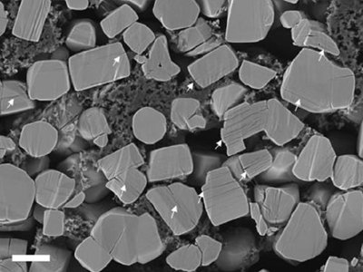 ��һ��ȫ�̑B(t��i)늳����O���ϵ����x������������