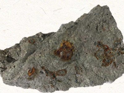 ��䆡������@�N��(zh��n)���ԵV�a(ch��n)�ɲ����ރH1�꣬��������90%