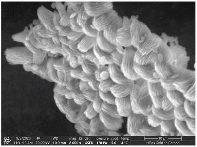 ������ë���F(tu��n)��������������̼���}��ô�����(l��i)������ʲô����