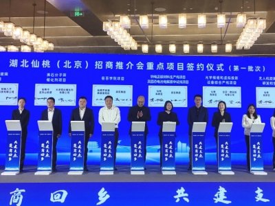 ׷��12�|Ԫ�����O�������^�Ӵa�c����O+�̑B(t��i)늽��|�Ŀ