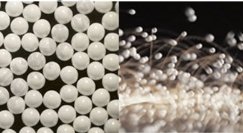 һ���D�˽�ʥ������M�մɲ��ϵĲ���