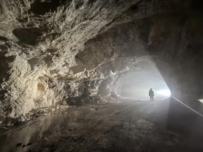 �@һʡ20��(g��)̼���}�䰸�(xi��ng)Ŀ��������Щ��˾�ģ�